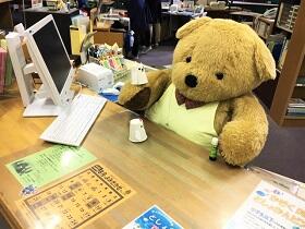 カウンターに座っているクマたんの画像